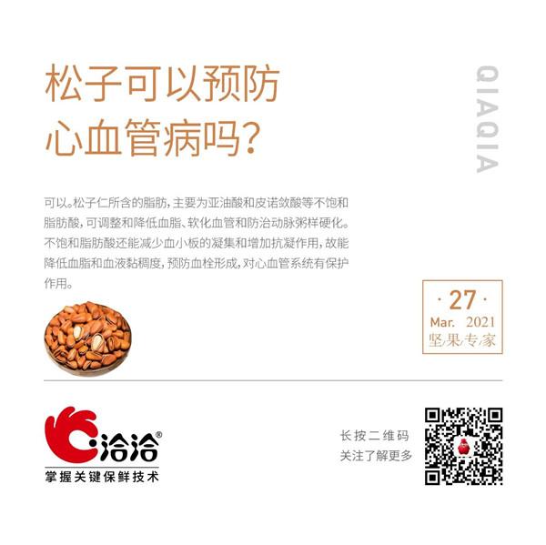 堅(jiān)果功效小科普 | 松子可以預(yù)防心血管病嗎？